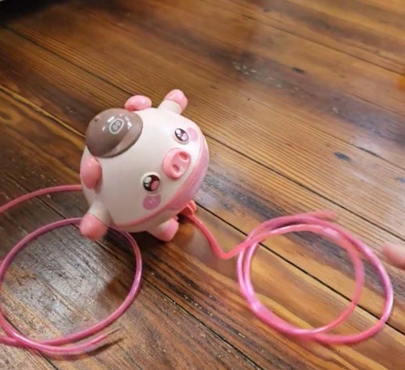 Walking pig 🐷 toy